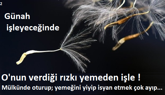 uc_sey_yap_gunah_isleyebilirsin2.png