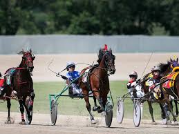 HORSE_CAR_RACE_