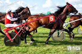 HORSE_CAR_RACE_