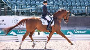 Equestrian_