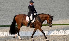 Equestrian_