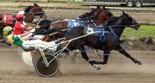 HARNESS_RACING