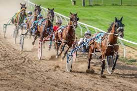HARNESS_RACING_