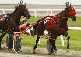 HARNESS_RACING_1