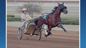 HARNESS_RACING_3