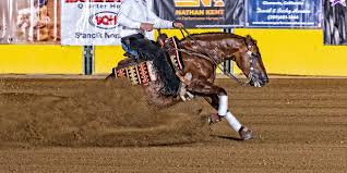 Reining_