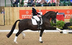 Valegro.jpg