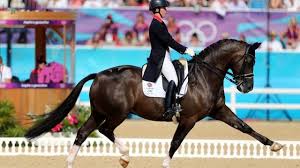 Valegro_2.jpg