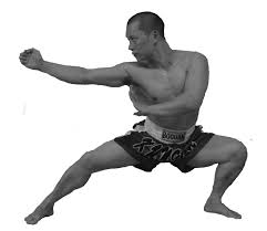 Choy_Lee_Fut_1