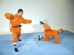 DOG_KUNG_FU_2