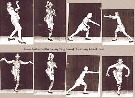 Fujian_White_Cran_2