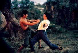 Monkey_Kung_Fu_