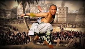 Monkey_Kung_Fu_6
