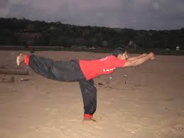 Monkey_Kung_Fu_8