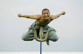 Shaolin_Kung_Fu_