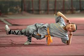 Shaolin_Kung_Fu_