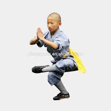 Shaolin_Kung_Fu_