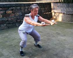 Shaolin_Kung_Fu_