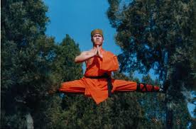 Shaolin_Kung_Fu_