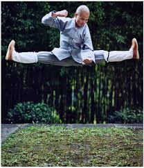Shaolin_Kung_Fu_