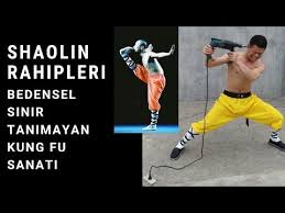 Shaolin_Kung_Fu_