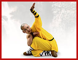 Snake_Kung_Fu_