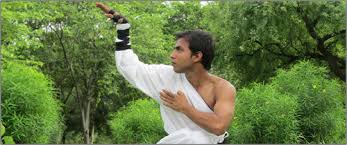 Snake_Kung_Fu_