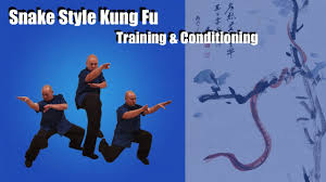 Snake_Kung_Fu_
