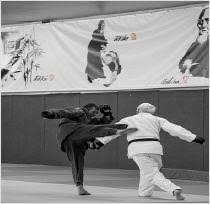 Francombat_2