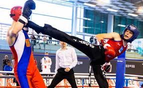 Savate_1