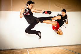 Savate_8