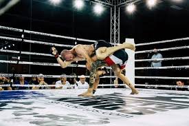 Shootfighting