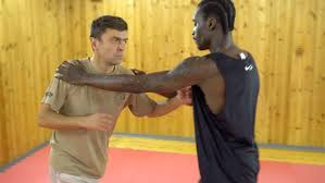 Systema_