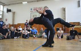 Systema_1