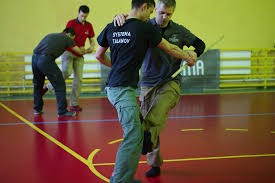 Systema_4