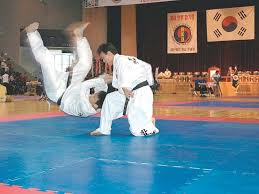 Hapkido_