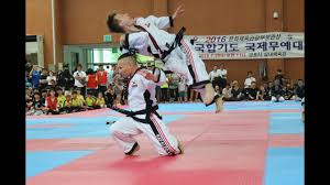 Hapkido_