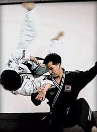 Hapkido_