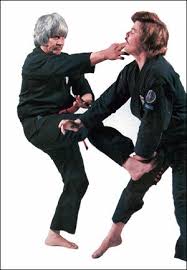 kenpo_