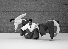 Kinomichi_2