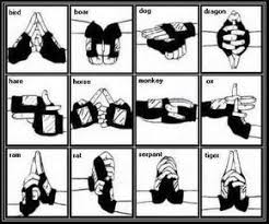 NiNJUTSu