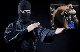 NiNJUTSu_