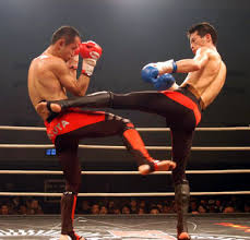  Shoot_boxing_