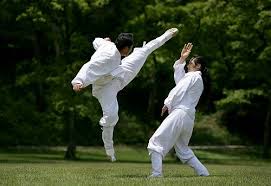Taekkyeon