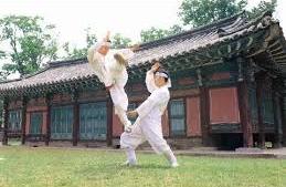 Taekkyeon_