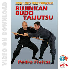 Bujinkan_Budo_Taijutsu