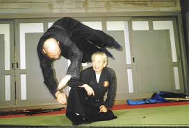 Taijutsu