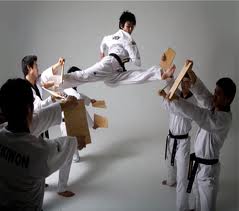 Taekwondo_gosterii_