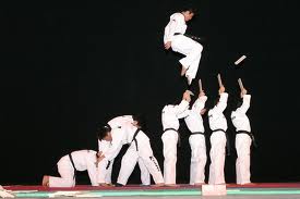 Taekwondo_gosteriiii_