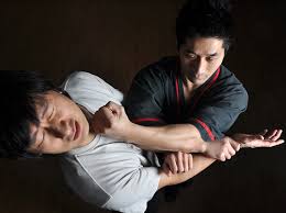   wing_chun__.jpg  